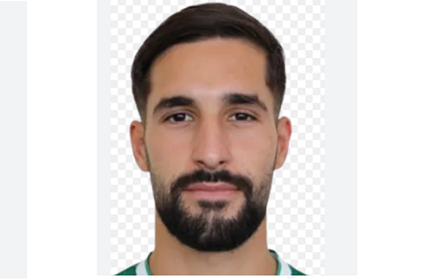 celikovic
